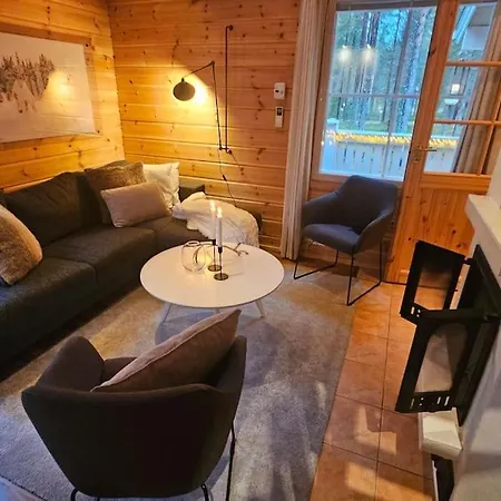 In Levi Close The Winter Activities
