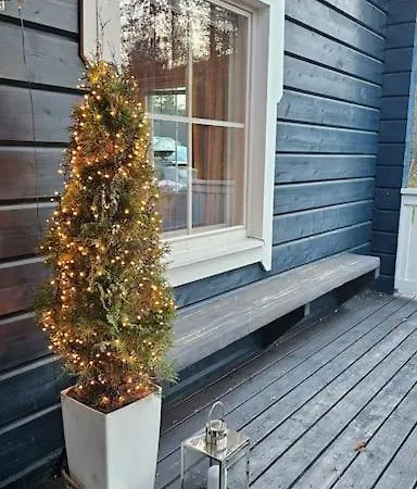 Apartament In Levi Close The Winter Activities