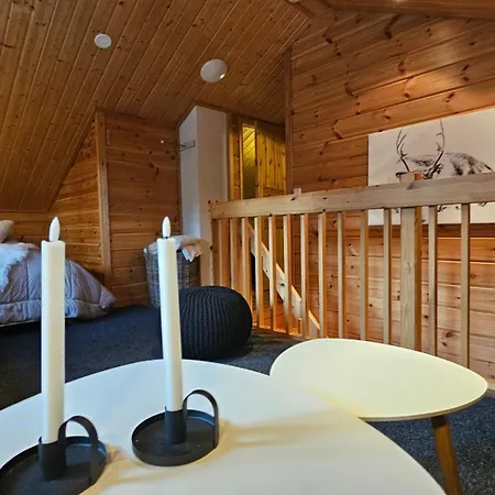 Apartament In Levi Close The Winter Activities *