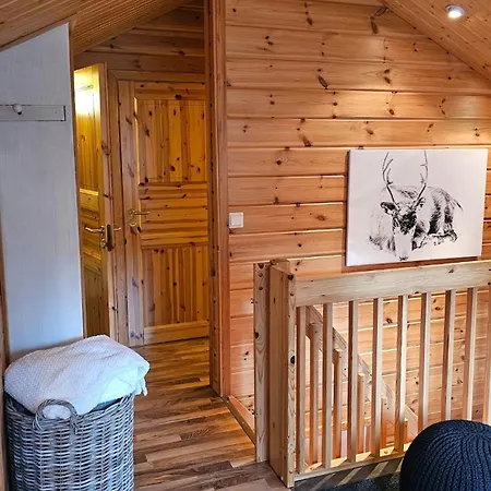 Peaceful Hideaway Near Levi Adventures Activities Kittila (Lapland)