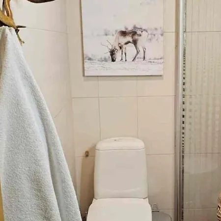 Peaceful Hideaway Near Levi Adventures Activities Kittila (Lapland)