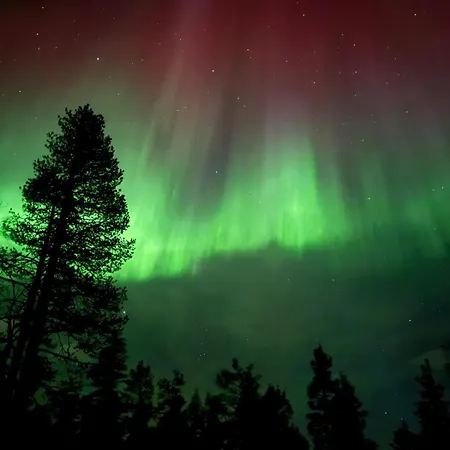 Appartement Peaceful Hideaway Near Levi Adventures Activities Kittilä