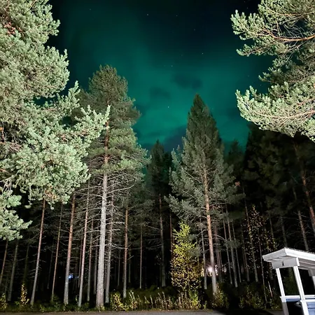 Peaceful Hideaway Near Levi Adventures Activities Kittilä